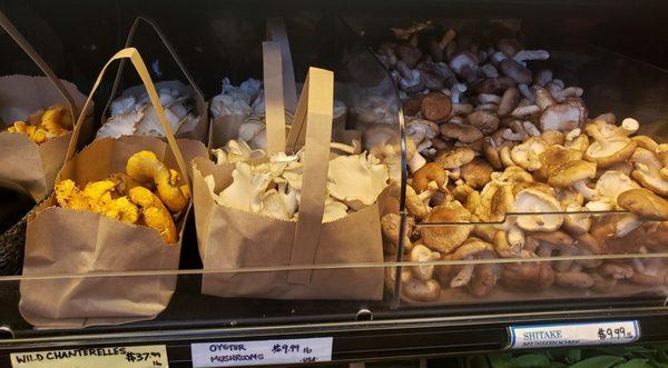 Solid mushroom selection