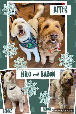 Milo & Baron