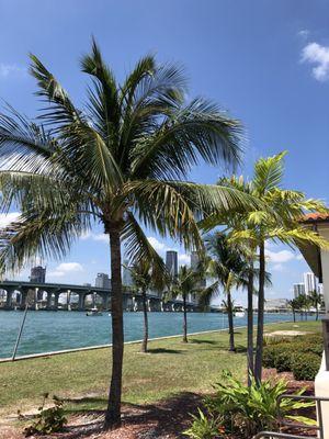 Park in the Venetian Causeway