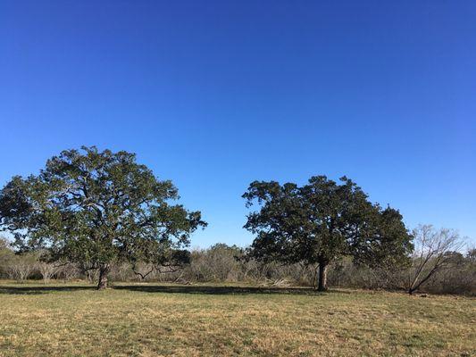 The Twin Oaks wedding ceremony site. Easy to dress up but beautiful all on its own.