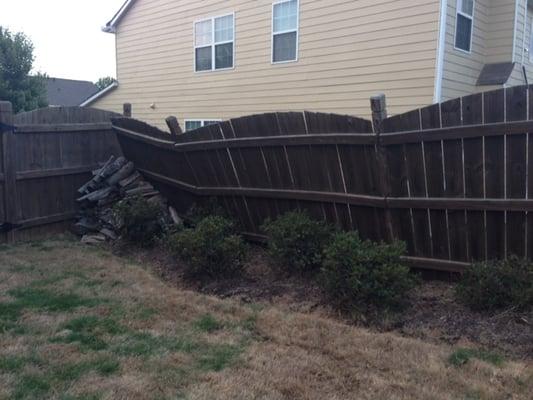 [2014] My fence sat like this for 8wks+ waiting for Accurate Fence to come and repair it.  (Did I mention they originally installed it too?)