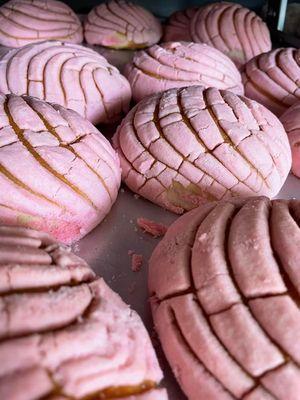 Pink Conchas: a Mexican sweet bread with a slightly crunchy, sweet outer layer that resembles a seashell.