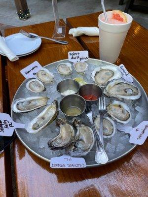 A dozen Gulf oysters