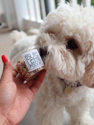 My pup loves four-legged foodie! @tiffhuangry