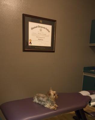 Chiropractic Assistant, Oscar, makes occasional appearances