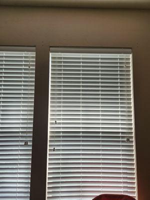 Mini blinds.