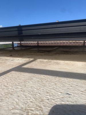 Algae growing under solar panels