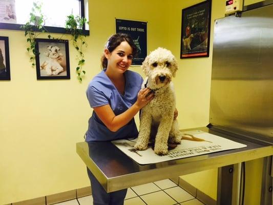 Canine Exam Room with Amanda & Winston