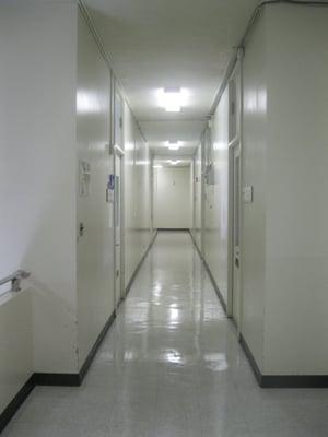 the hallway