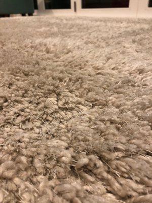 Our shaggy rug that smells fresh and clean!