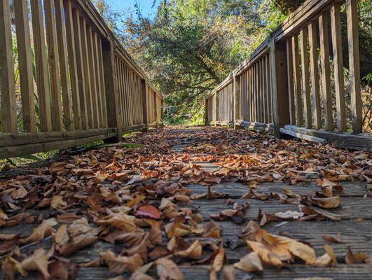 Juniper Springs Recreation Area