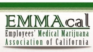 Employee Medical Marijuana Association