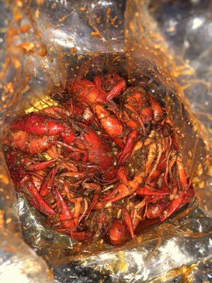 Crawfish