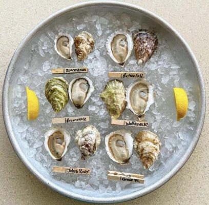 Maine oysters available at SoPo Raw Bar - there is always 6 farms to choose from.