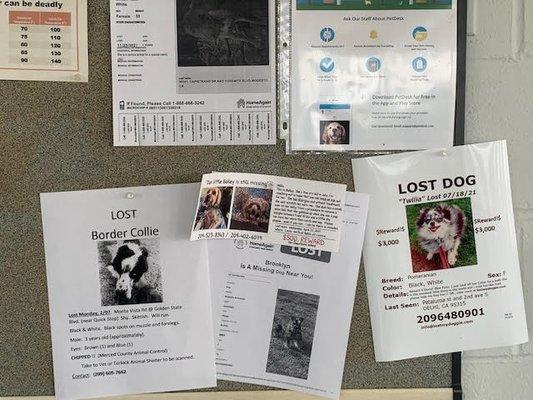 Bulletin area for pet notices, missing, etc...
 
 May 2022