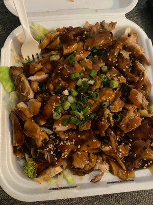 Large teriyaki bowl