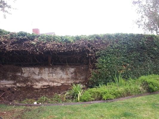 J & J Tree Removal Cutting Service