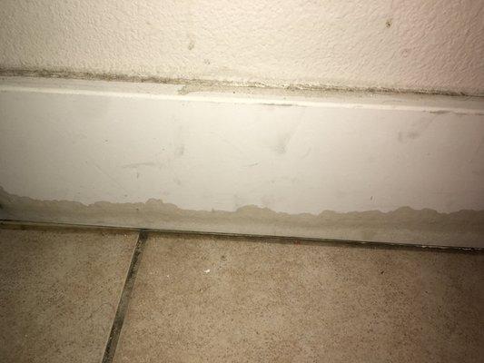 Mold & water damage.