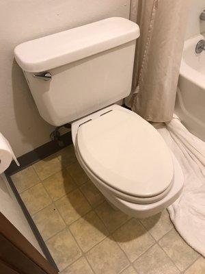 Bidet? Toilet?