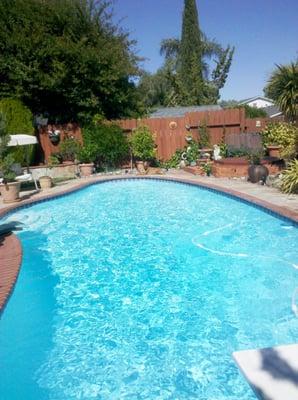 Your pool can look sparkling clean with the right pool cleaning equipment and service. Call Jeff at 510 697-5333 for a free estimate.