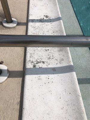 Pool steps with fungus