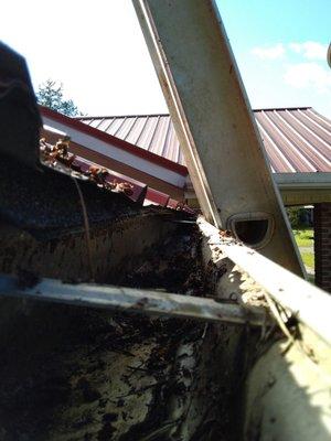 Look it's time to clean those gutters