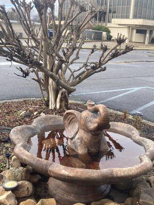 Elephant in the fountain outside.