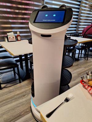 Fun robot that brings drink orders!