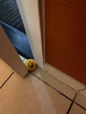 Here is the cornbread holding it's own against our heavy hotel room door.