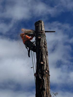 Galan Tree Service