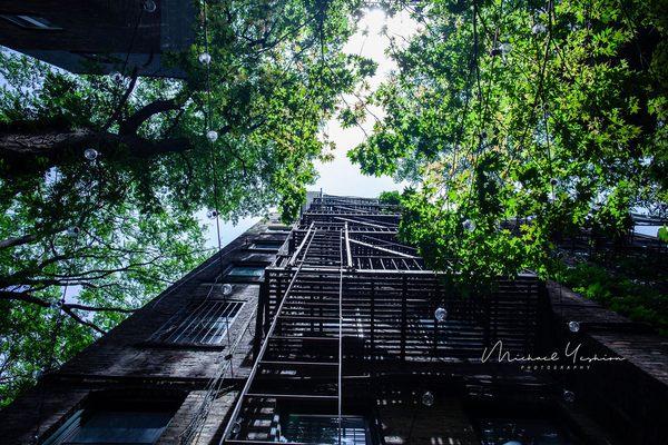 Backyard looking up! :)