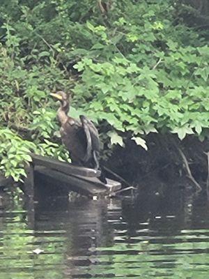 Cranford Canoe Club