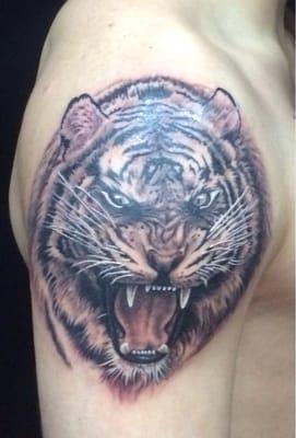 Tiger Tattoo, By: Corey