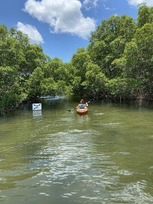 Example of the markers before heading into a mangrove channel