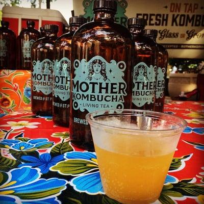 Mother Kombucha