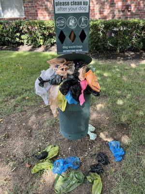 One of the many frequently overflowing dog waste cans.