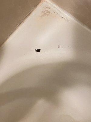 Close up chipped tub