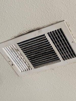 Mold in vent