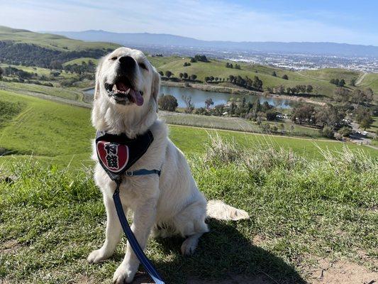 Max Likes hiking