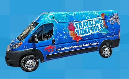 The Traveling Tidepools Van