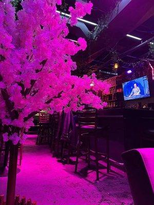 Provence bar, cherry blossom tree