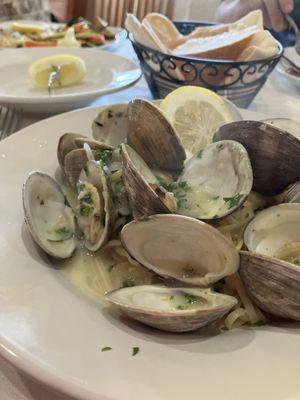 Linguine with clams and white wine sauce