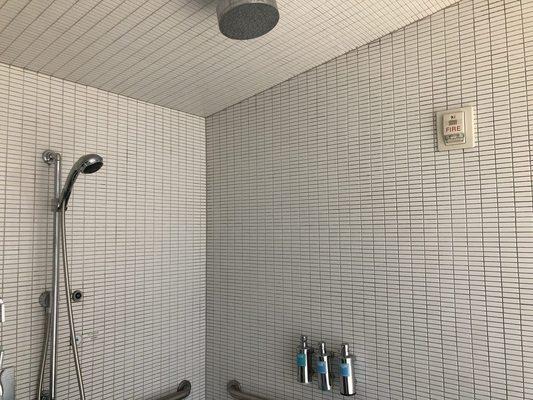 Steam Shower