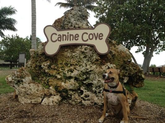 Beautiful signage at Canine Cove