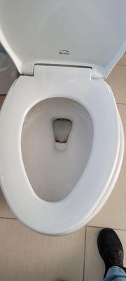 "Clean" but worn/stained toilet