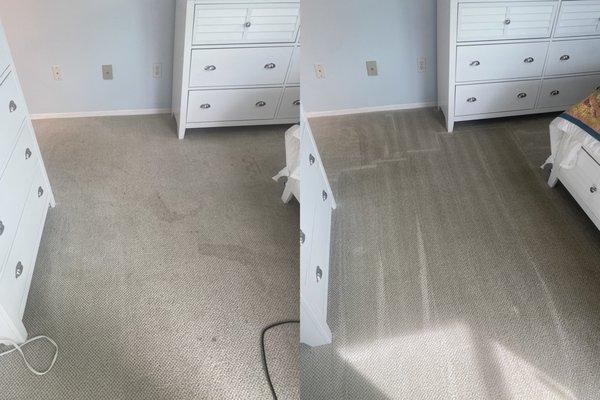 Carpet Cleaning