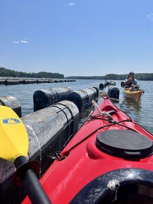 Midcoast Kayak