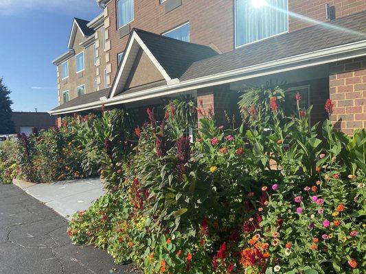 The outside of the hotel had the lushest beautiful florals!