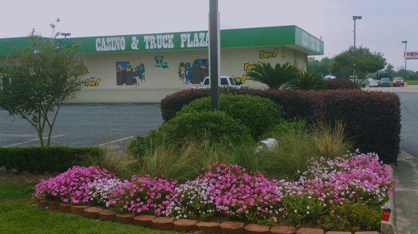 Closer view of the purty flowers in the front entrance to the casino from Highway 1