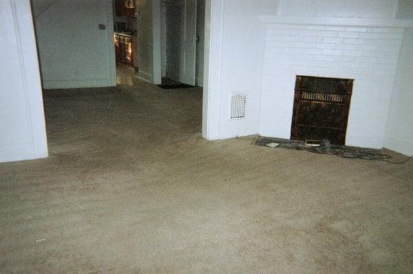 We were able to remove all the pet spots from the carpet saving the owner thousands of dollars in replacement cost!